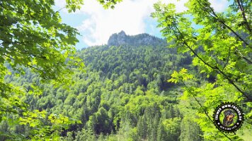 kirnbergrundeinzell23062022 (74)_JPG