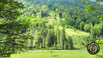 kirnbergrundeinzell23062022 (75)_JPG