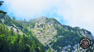 kirnbergrundeinzell23062022 (76)_JPG