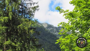 kirnbergrundeinzell23062022 (78)_JPG