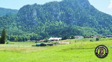 kirnbergrundeinzell23062022 (8)_JPG