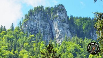 kirnbergrundeinzell23062022 (80)_JPG