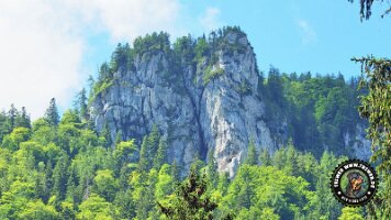 kirnbergrundeinzell23062022 (81)_JPG