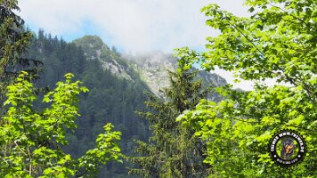 kirnbergrundeinzell23062022 (82)_JPG