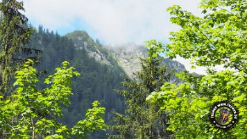 kirnbergrundeinzell23062022 (83)_JPG