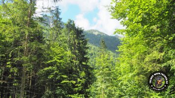 kirnbergrundeinzell23062022 (84)_JPG