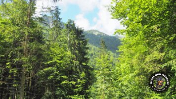 kirnbergrundeinzell23062022 (85)_JPG