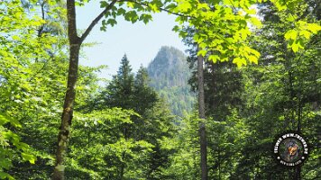 kirnbergrundeinzell23062022 (86)_JPG