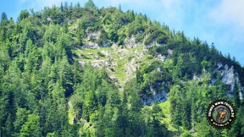 kirnbergrundeinzell23062022 (87)_JPG