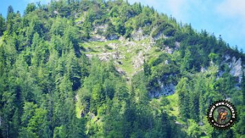 kirnbergrundeinzell23062022 (88)_JPG