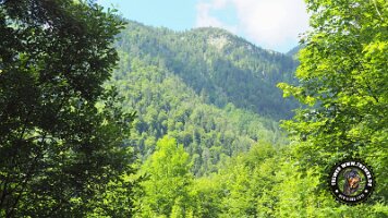 kirnbergrundeinzell23062022 (89)_JPG