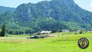 kirnbergrundeinzell23062022 (9)_JPG