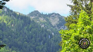 kirnbergrundeinzell23062022 (90)_JPG