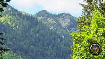 kirnbergrundeinzell23062022 (91)_JPG