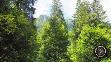 kirnbergrundeinzell23062022 (93)_JPG