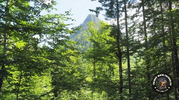 kirnbergrundeinzell23062022 (94)_JPG