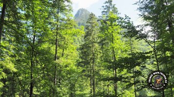 kirnbergrundeinzell23062022 (95)_JPG