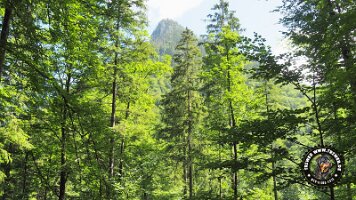 kirnbergrundeinzell23062022 (96)_JPG