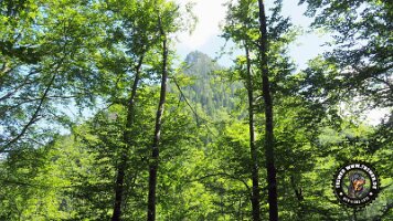 kirnbergrundeinzell23062022 (97)_JPG