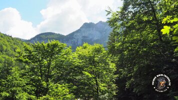 kirnbergrundeinzell23062022 (98)_JPG