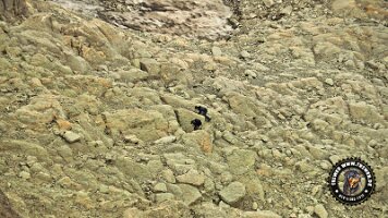 saentis-schweiz (140)_JPG_0