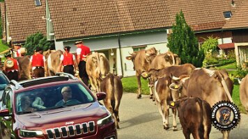 saentis-schweiz (17)_JPG_0