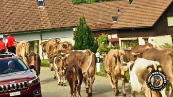 saentis-schweiz (18)_JPG